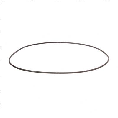 Picture of O-Ring