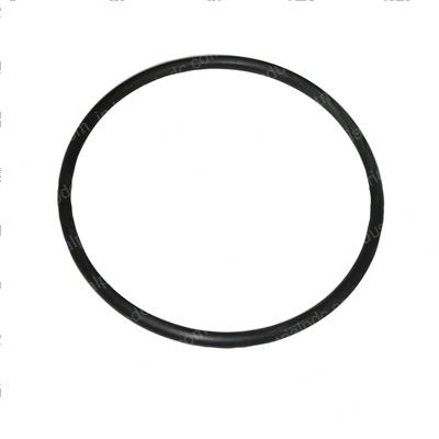 Picture of O-Ring