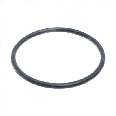 Picture of O-Ring