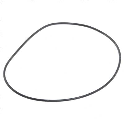 Picture of O-Ring