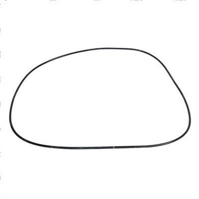 Picture of O-Ring