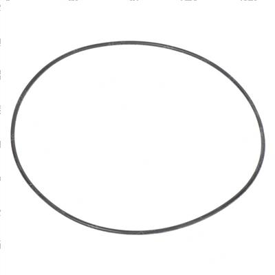 Picture of O-Ring