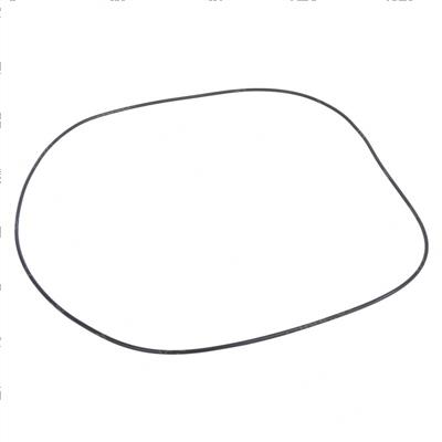 Picture of O-Ring