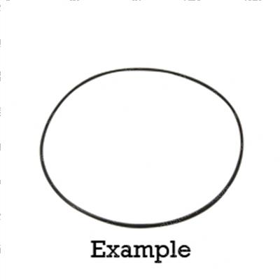 Picture of O-Ring
