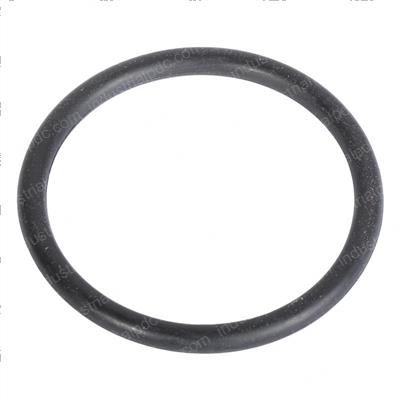 Picture of O-Ring