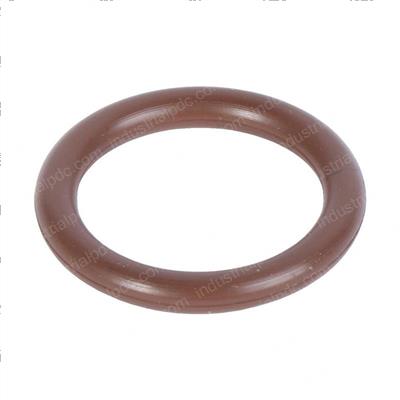 Picture of O-Ring