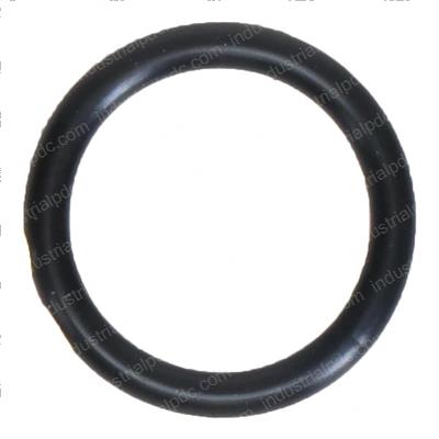 Picture of O Ring