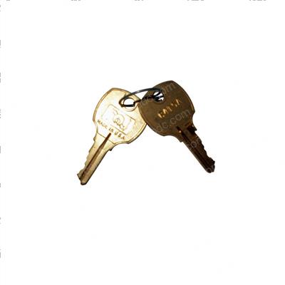 Picture of Keys for/Rev Lock (#c415a)