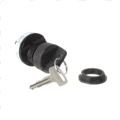 Picture of Switch - Key