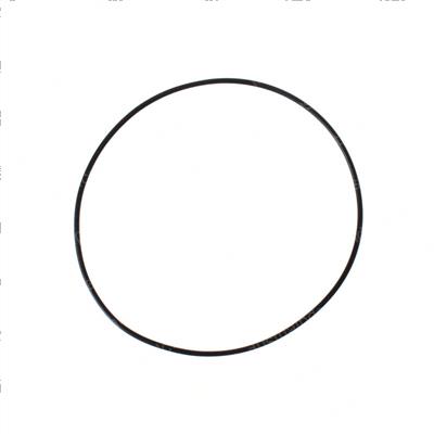 Picture of O-Ring
