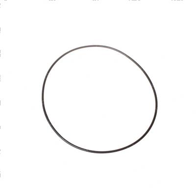 Picture of O-Ring - Arp Dash 159-70