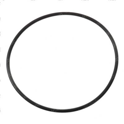 Picture of O-Ring
