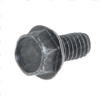 Picture of Screw-Cap-1/4-20x.5