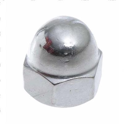 Picture of Nut- Acorn 1/4-20 Ss