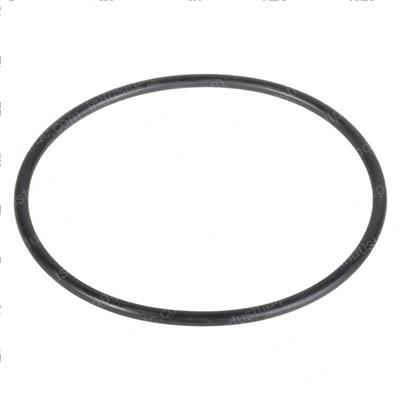 Picture of O-Ring