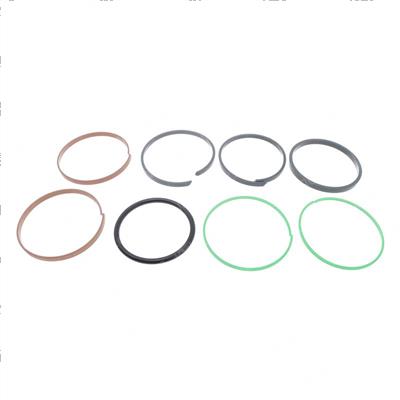 Picture of Seal Kit