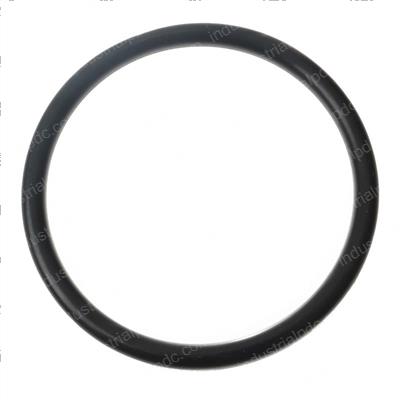 Picture of O-Ring