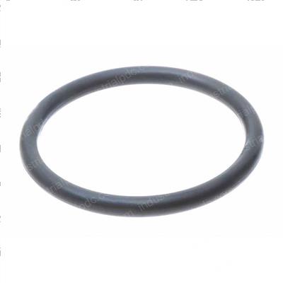 Picture of O-Ring