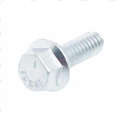 Picture of Bolt - Flange - Threadlocker