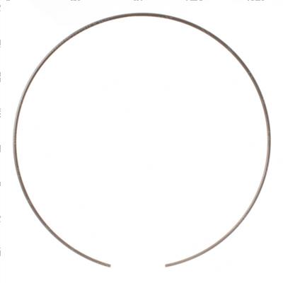 Picture of Ring - Wear