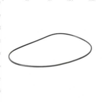 Picture of O-Ring