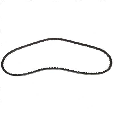 Picture of Belt- Alt