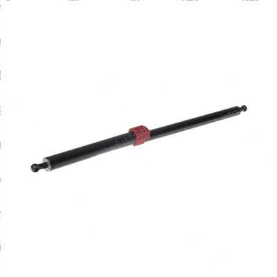 Picture of Gas Spring