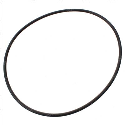 Picture of O-Ring