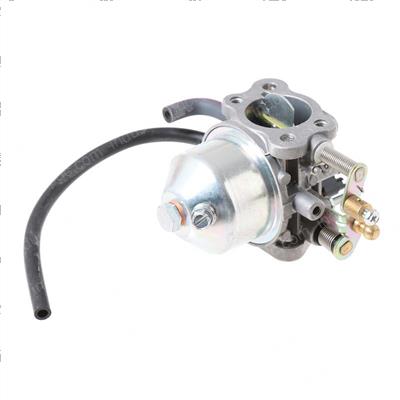 Picture of Carburetor Assy 2 Vent 4mm