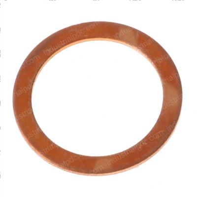 Picture of Gasket