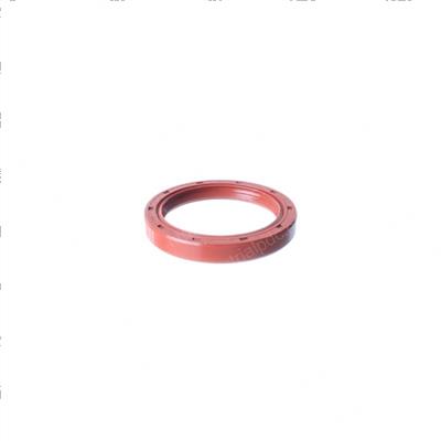Picture of Seal
