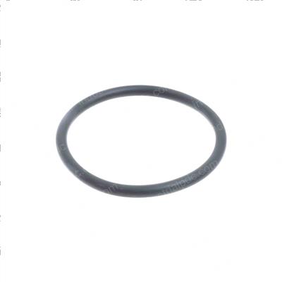 Picture of O-Ring