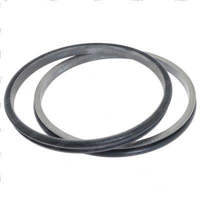 Picture of Seal Ring