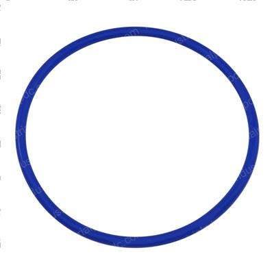 Picture of O-Ring