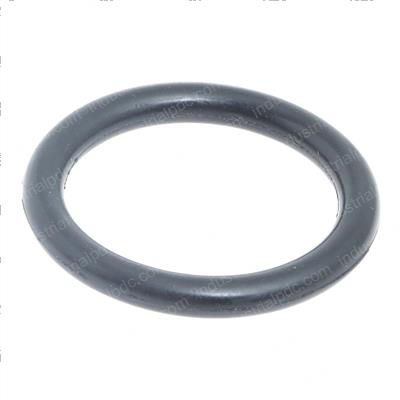 Picture of O Ring