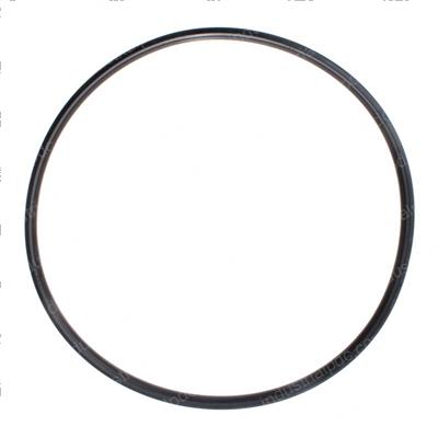 Picture of Seal