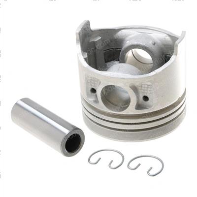 Picture of Piston 05