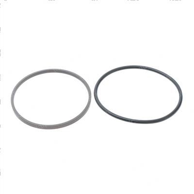 Picture of O-Ring