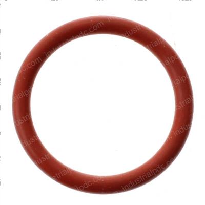 Picture of O-Ring