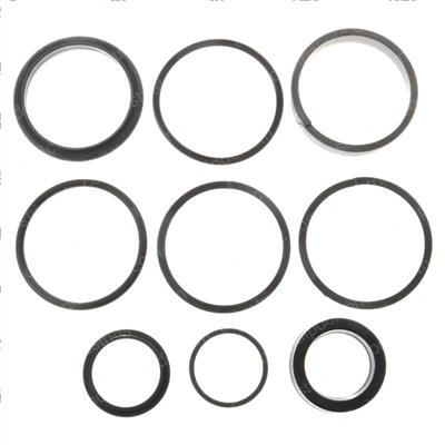 Picture of Seal Kit - Cyl Assy 2 in Steer