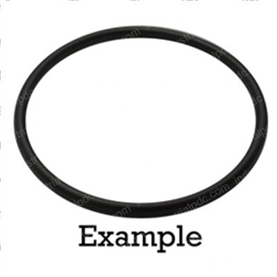 Picture of O-Ring