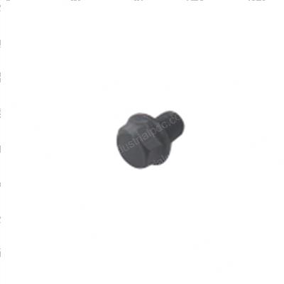 Picture of Plug - Screw