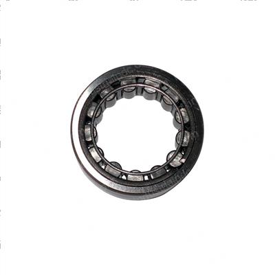 Picture of Bearing - Roller