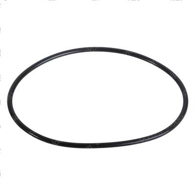 Picture of O-Ring