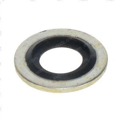 Picture of Sealing Ring