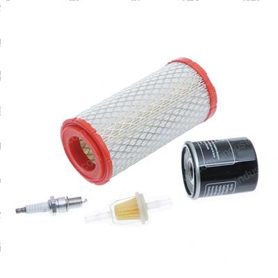 Picture of Tune Up Kit,rxv