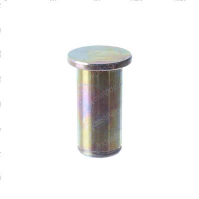 Picture of Pin - Cylinder