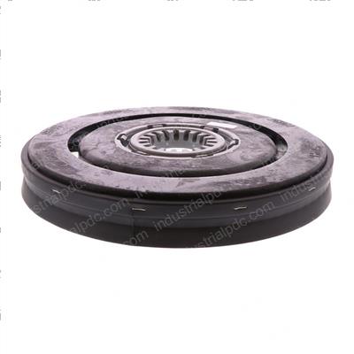 Picture of Brush-Light Duty (sp)