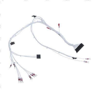 Picture of Harness Pcon Internal Control
