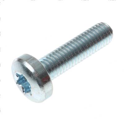 Picture of Screw